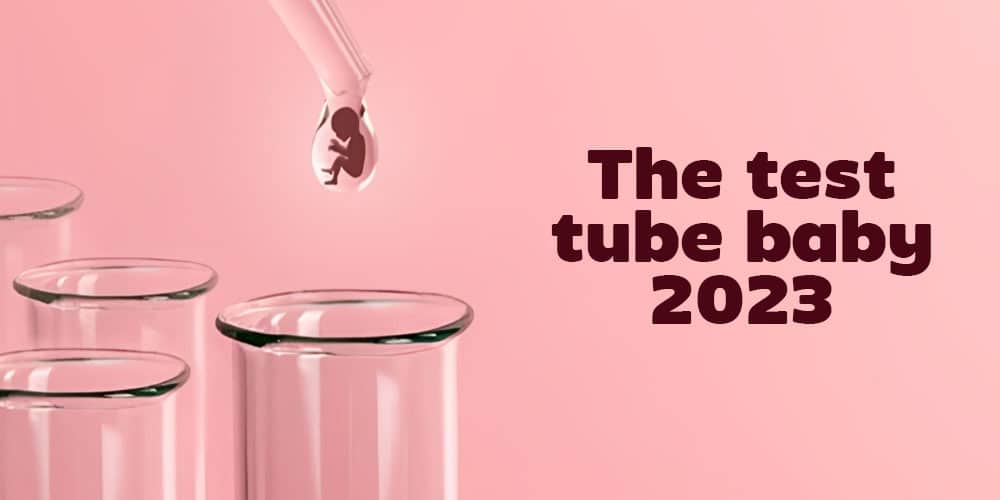 Test Tube Baby 2024