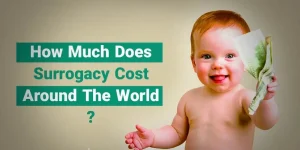 How much does surrogacy cost around the world?