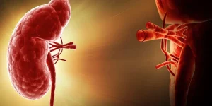 How much does Kidney Transplant Cost in Iran?