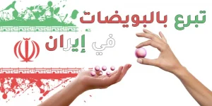 التبرع بالبويضات في ايران