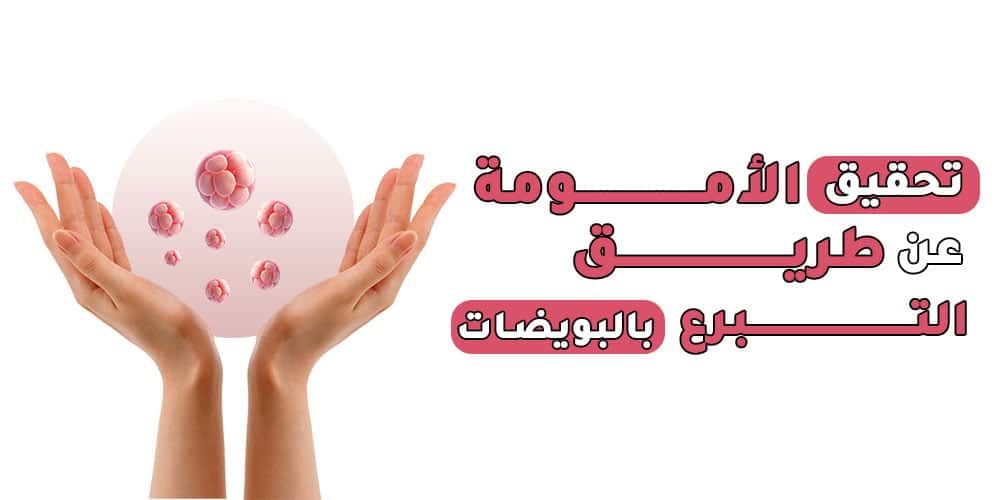 التبرع بالبويضات 2025