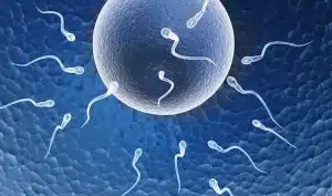 هل التلقيح الصناعي (IVF) مؤلم؟