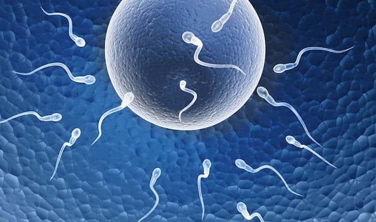 هل التلقيح الصناعي (IVF) مؤلم؟