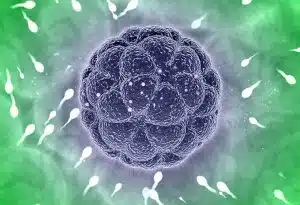 هل سوف يكون وجه الطفل المولود عن طريق علاج العقم بالبويضة المتبرع بها شبيها لنا؟