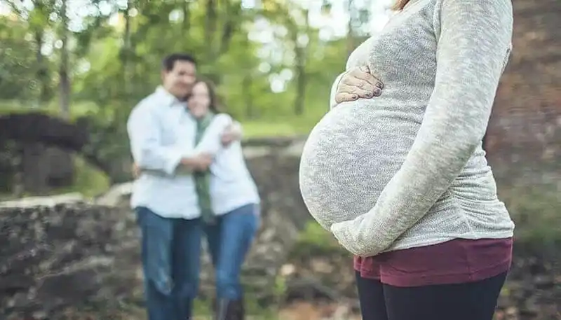 هل يشبه الطفل الام البديلة أم لا؟