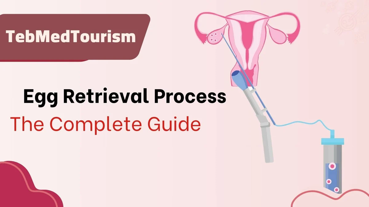What is the egg retrieval process like?