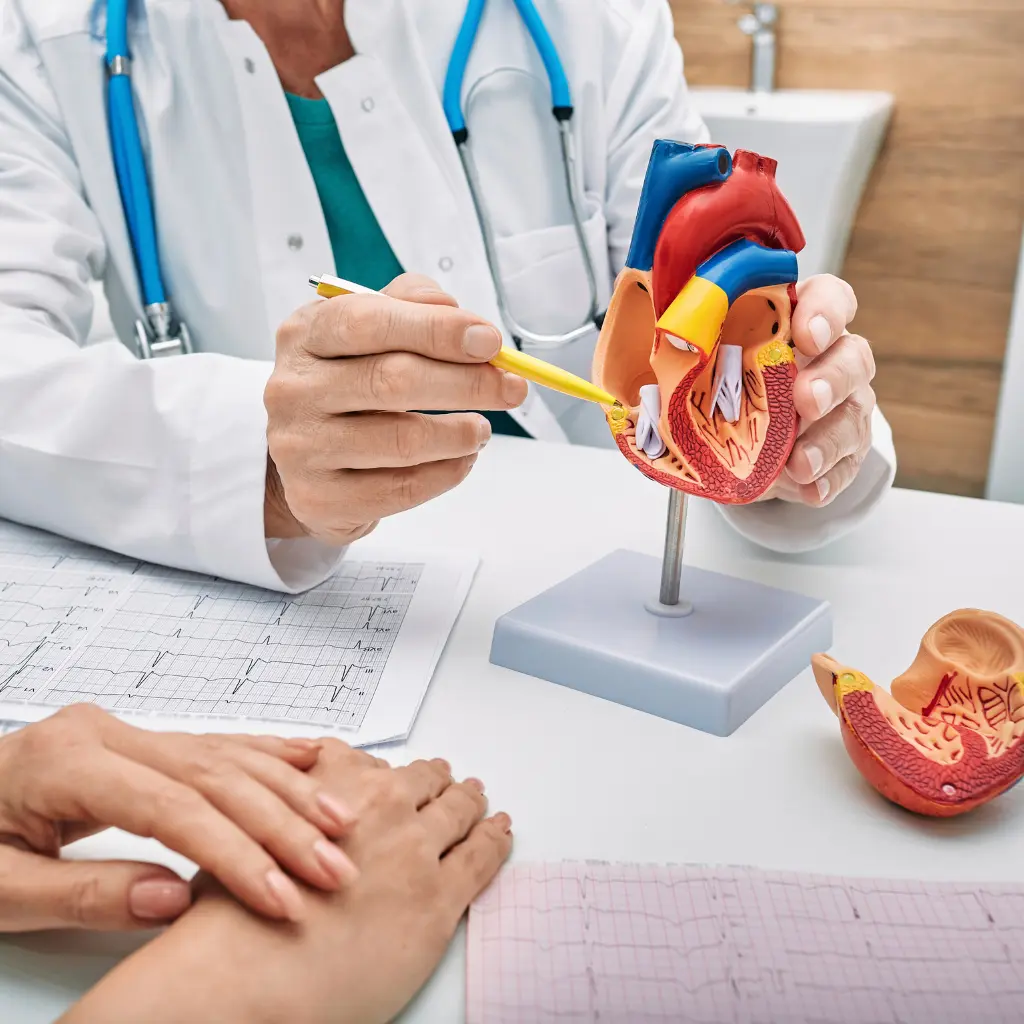 Cardiology