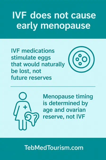 Is the effect of IVF on menopause positive or negative?