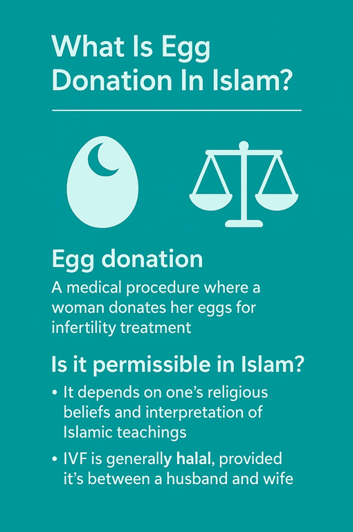 What is the ruling on egg donation in Islam?