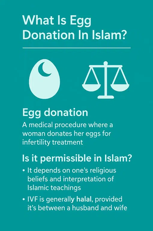 What is the ruling on egg donation in Islam?