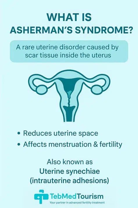 Asherman’s Syndrome is a rare uterine disorder caused by scar tissue, sometimes referred to as adhesions or intrauterine adhesions, that accumulates inside the uterus.