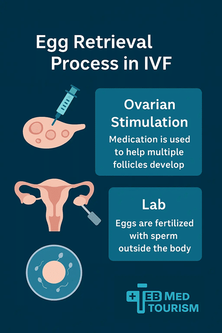 Egg retrieval is a minimally invasive procedure performed under light sedation.