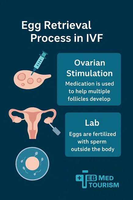 Egg retrieval is a minimally invasive procedure performed under light sedation.