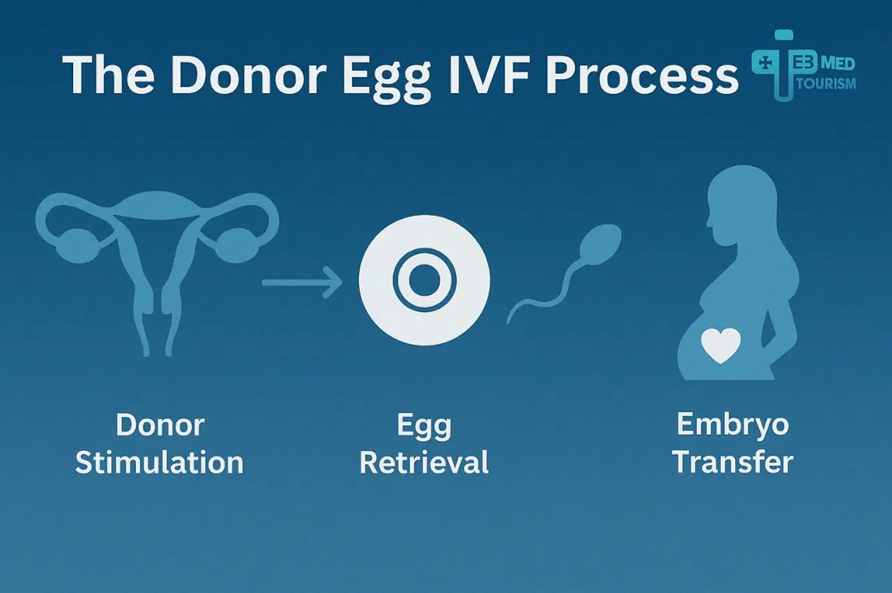 Performing the egg donation process correctly is effective in increasing the success rate of egg donation.