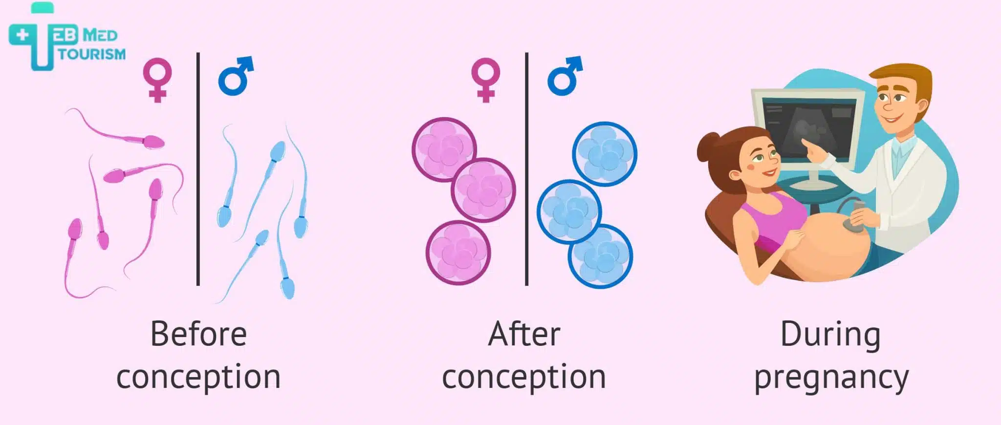 ইরানে আইভিএফ এবং লিঙ্গ নির্বাচনেরও চ্যালেঞ্জ রয়েছে।