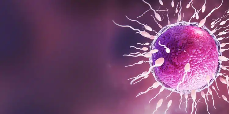 ইরানে IVF কীভাবে করা হয়?