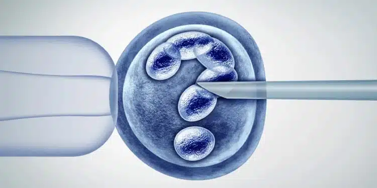 ইরানে আইভি এফ এবং এগ ডোনেরশনের খরচ