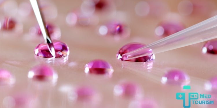 رأي معارض للتلقيح الصناعي في الإسلام