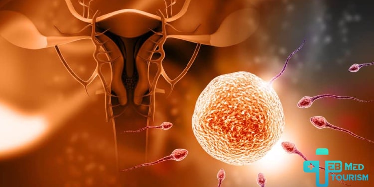هل يمكن علاج العقم عند النساء؟