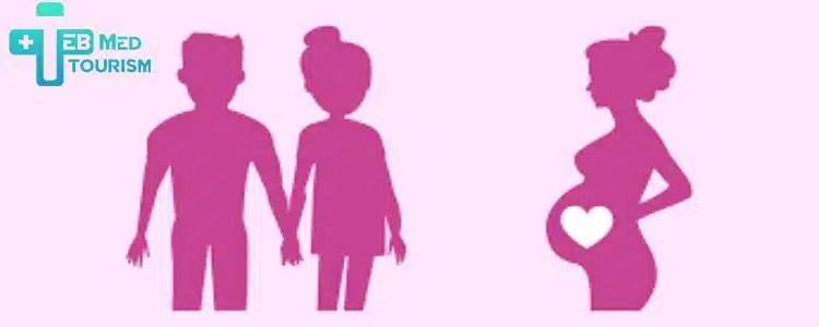 ইসলামে সারোগেসি