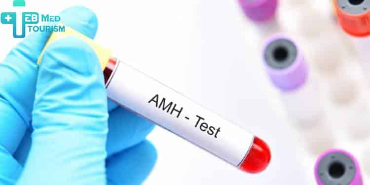 لابد من إجراء تحليل مخزون المبيض لتقييم الصحة الجنسية للزوجة ومعرفة نسبة هرمون ال(AMH).