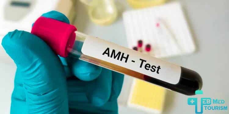 ماهي النسبة الطبيعية لتحلي AMH؟