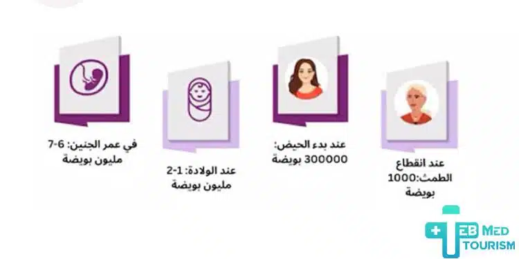 كيف اعرف نسبه مخزون المبيض؟