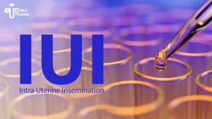 IUI vs IVF: Understanding Intrauterine Insemination