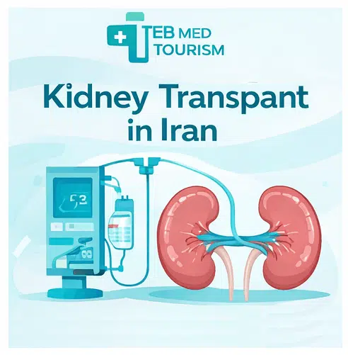 What is a Kidney Transplant in Iran?