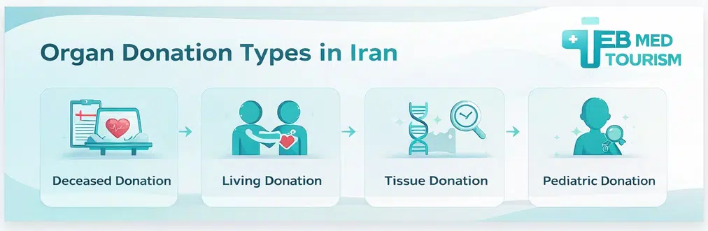 Types of organ donation