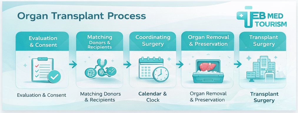How does the organ transplant in iran process work?