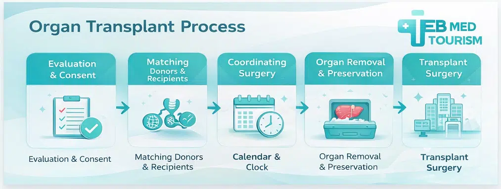 How does the organ transplant in iran process work?