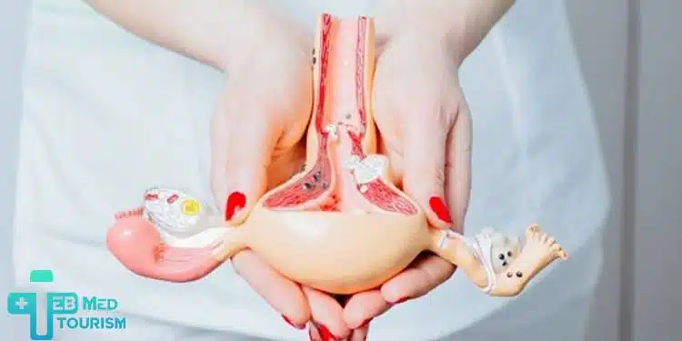 এটি দেখায়, শুধু বয়সই নয়; অনেক নারী ৩০ বছরের কম বয়সেও কম ওভারিয়ান রিজার্ভ উপসর্গ হ্রাসের এর চিহ্ন পায়।