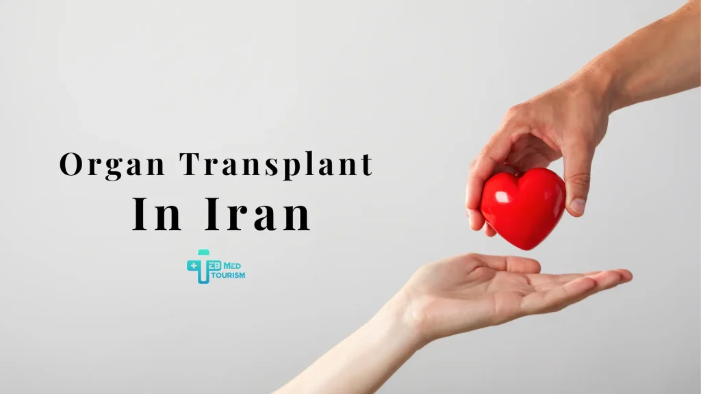 How Does Organ Transplant in Iran Work?