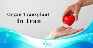 all thing about organ transplant in iran