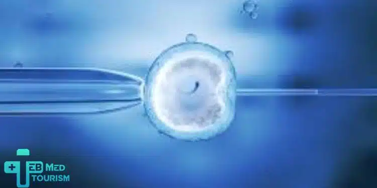 تُعد الحقن المجهري في إيران واحدة من أهم طرق علاج العقم.