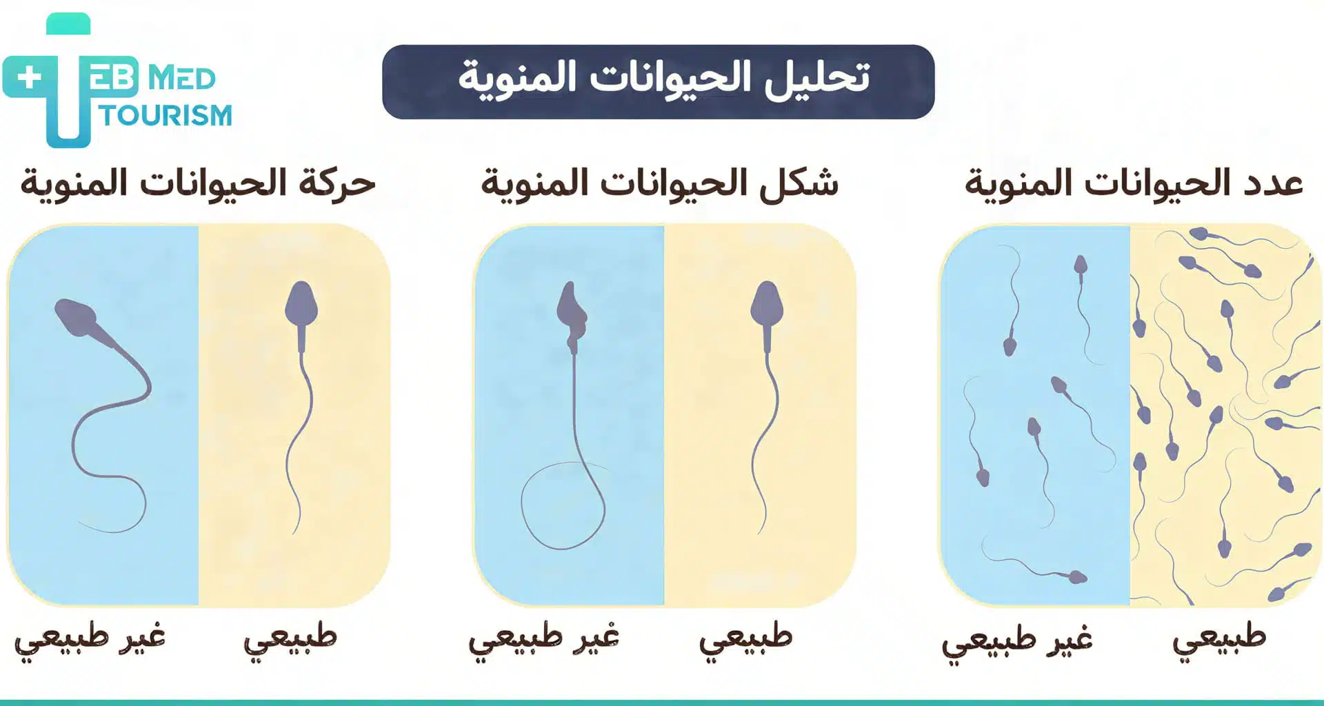 إذا كان المريض يعاني من اي مشاكل في عدد او جوده او شكل الحيوانات المنوية فقد يكون أحد حالات العقم عند الرجال التي يجعل الحمل صعباً بشكل طبيعي وفي بعض الحالات يجعلها مستحيلاً.