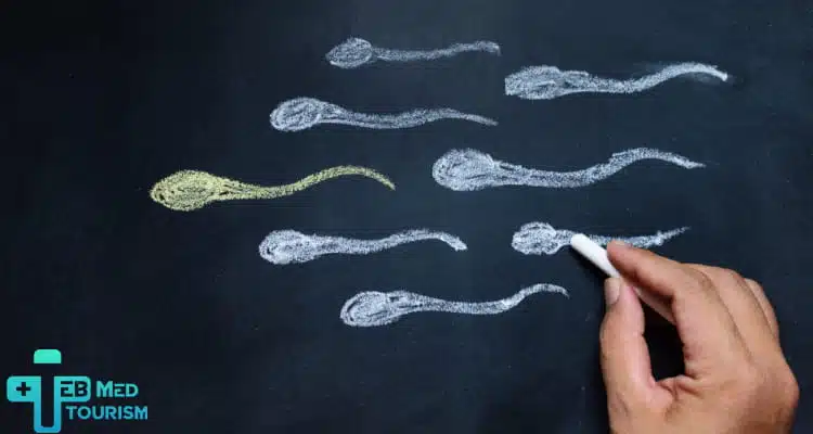 علاج العقم عند الرجال