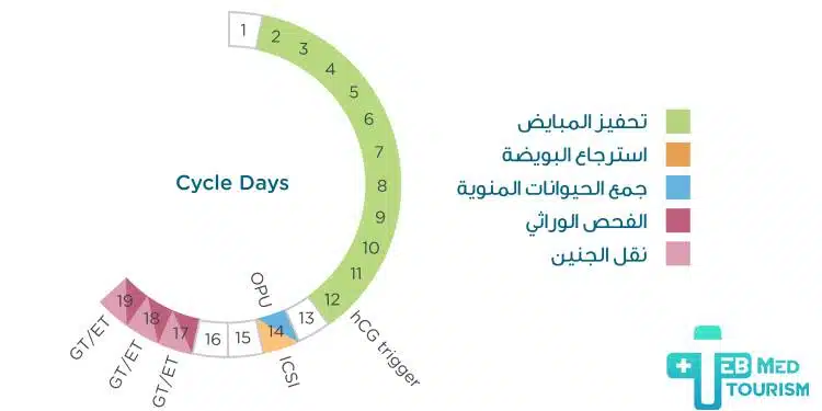 تم فرز الحيوانات المنوية التي تحمل الكروموسوم X(أنثى) عن تلك التي تحمل الكروموسوم Y (ذكر)، ومن ثم اختيار الحيوان المنوي المناسب قبل حقنه في البويضة.
