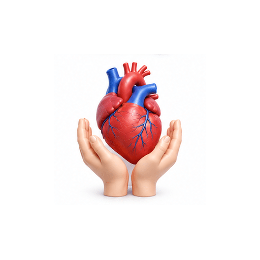 organ transplant