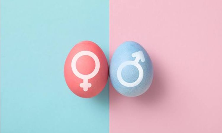 gender selection 