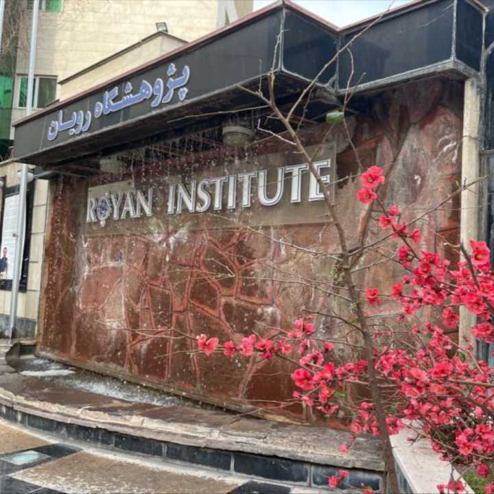 Royan Institute