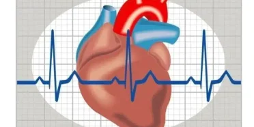 What is cardiology in Iran?