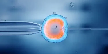 20240901-032418-article-2X6yX