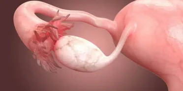 497E3B0E00000578-0-image-a-7_15193336199582