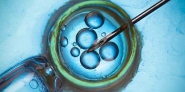 الجدول الزمني للتلقيح الصناعي