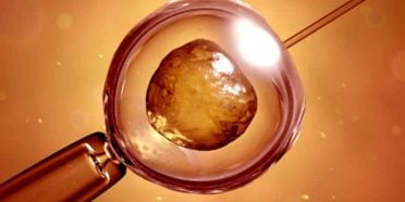 مخاطر التبرع بالبويضات