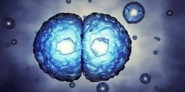 معدل نجاح التلقيح داخل الرحم(IUI)مقارنة بالتلقيح الاصطناعي(IVF)