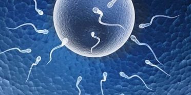 هل التلقيح الصناعي (IVF) مؤلم؟