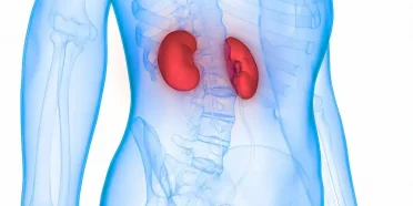 هل تؤثر السمنة على معدل نجاح عملية زراعة الكلية